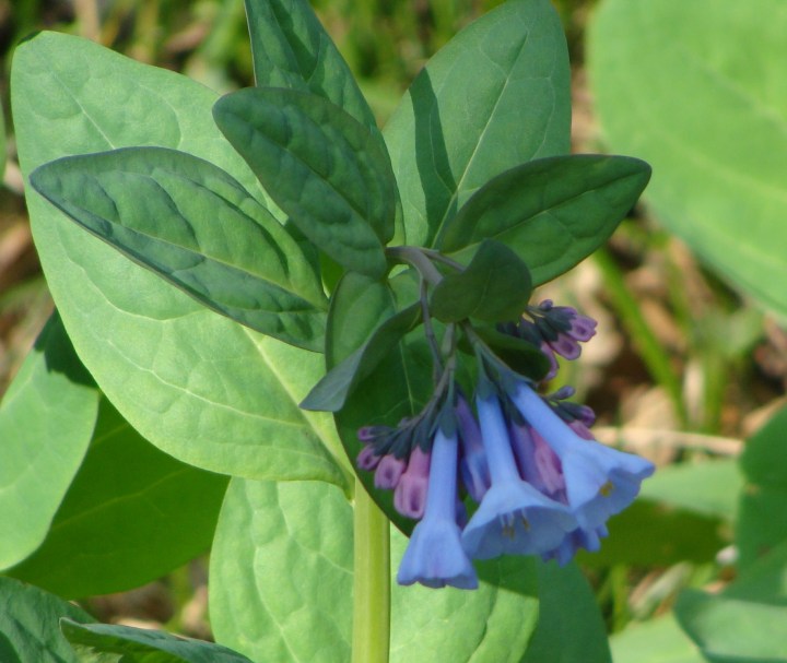 ???????????????????????????????