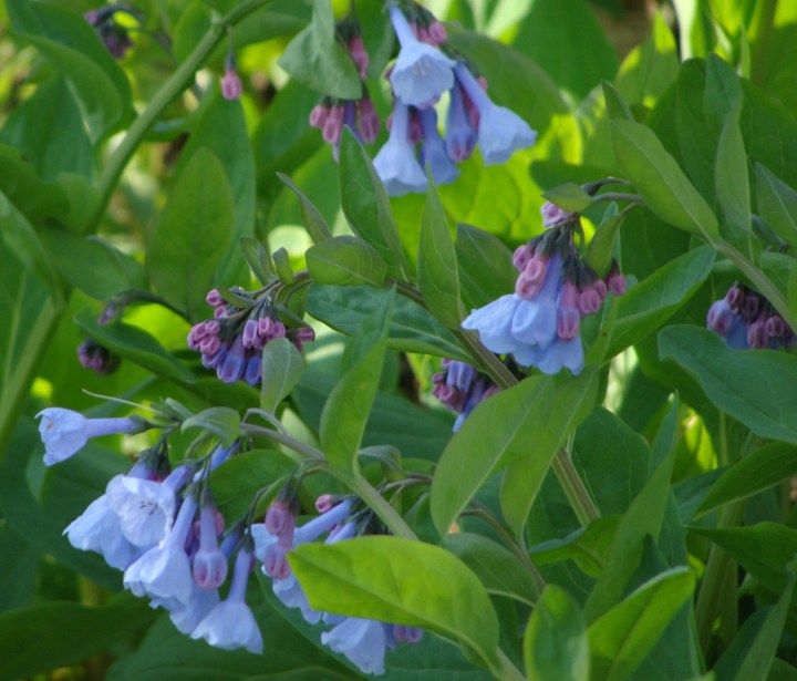 ???????????????????????????????