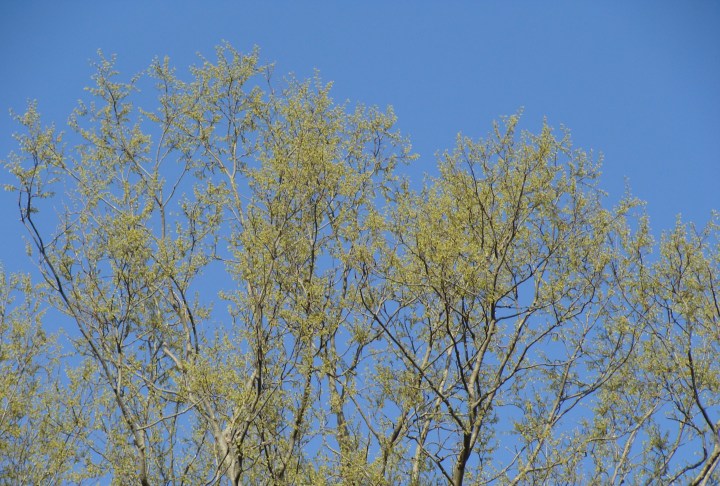 ???????????????????????????????