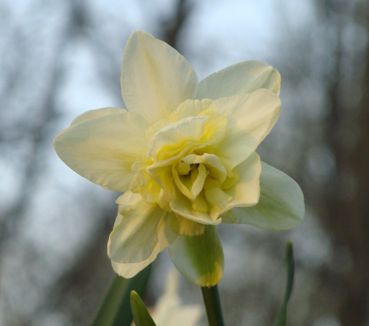 ???????????????????????????????