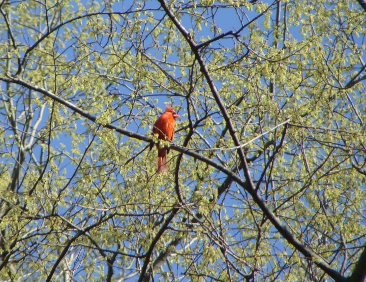 ???????????????????????????????