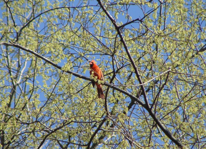 ???????????????????????????????