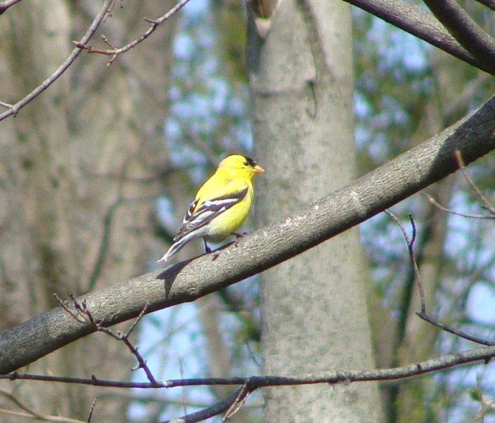 ???????????????????????????????