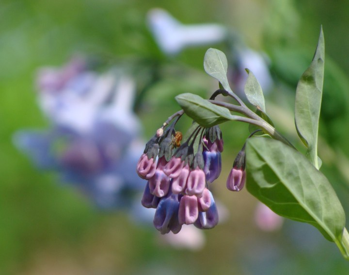 ???????????????????????????????