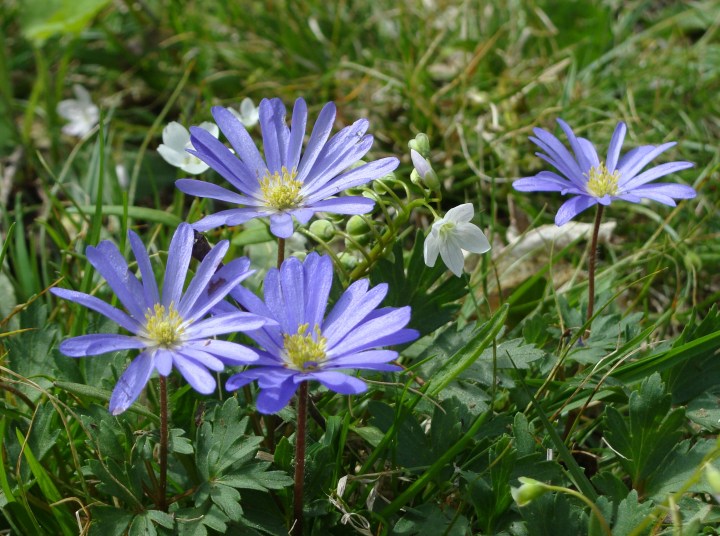 ???????????????????????????????