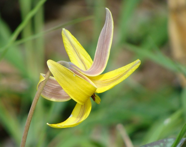 ???????????????????????????????