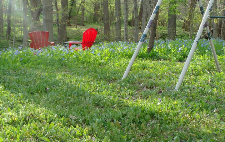 ???????????????????????????????