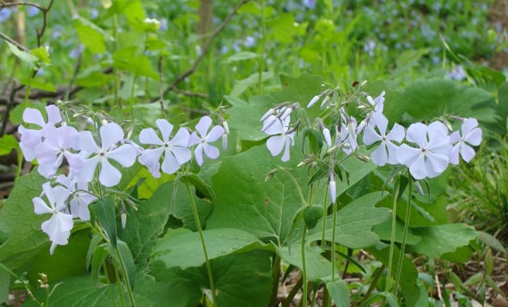 ???????????????????????????????