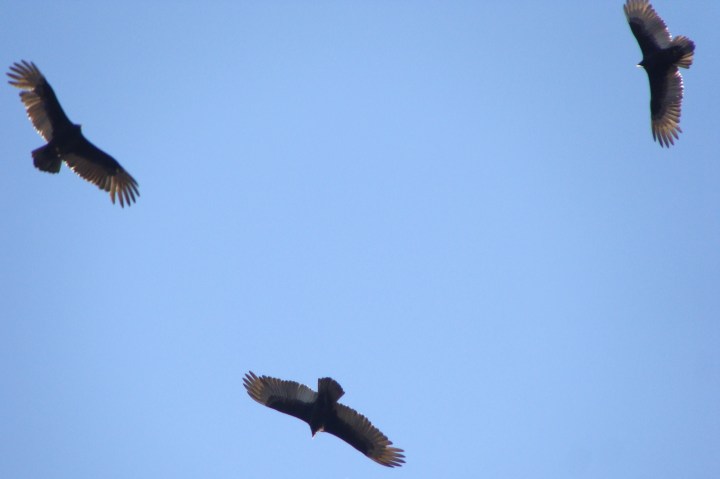 ???????????????????????????????