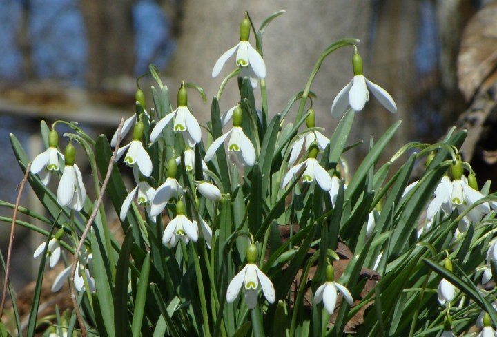 ???????????????????????????????