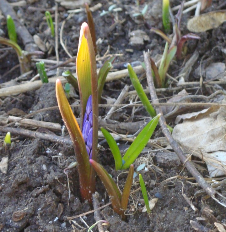 ???????????????????????????????