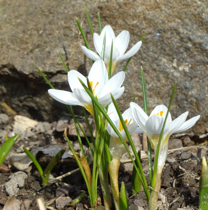 ???????????????????????????????