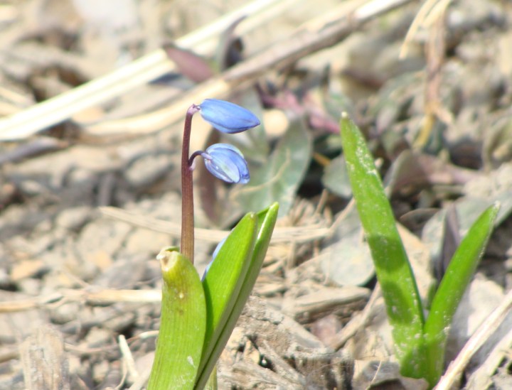 ???????????????????????????????