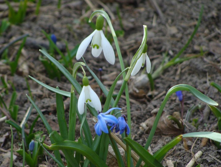 ???????????????????????????????