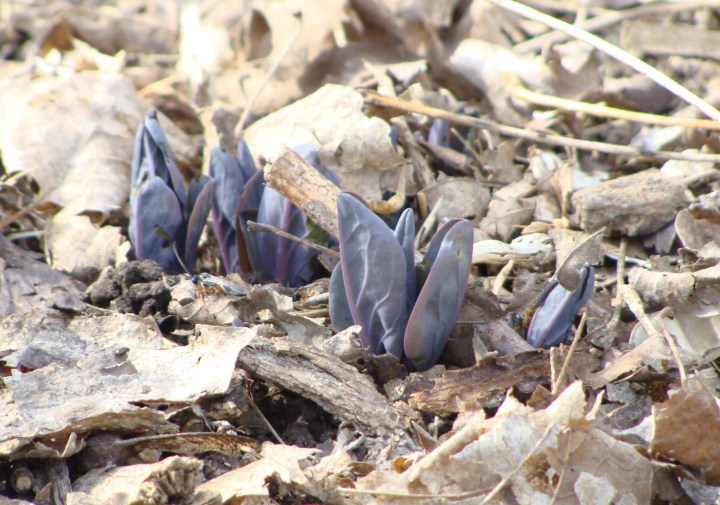 ???????????????????????????????