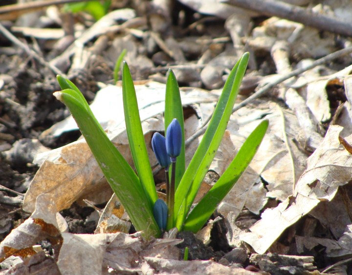 ???????????????????????????????