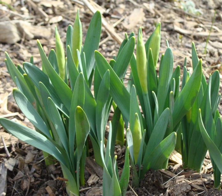 ???????????????????????????????