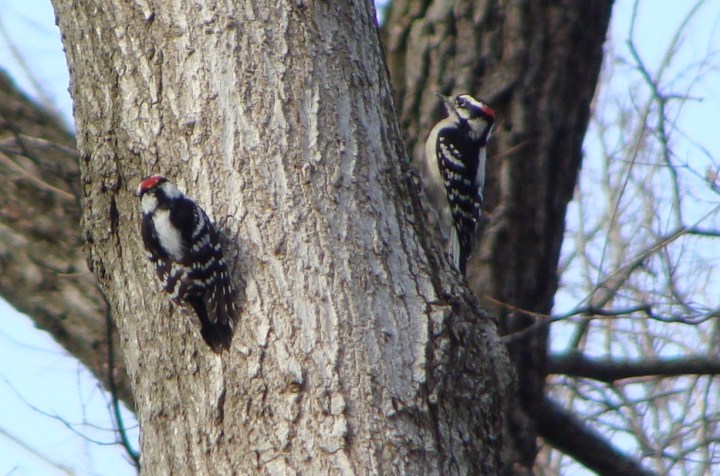 ???????????????????????????????