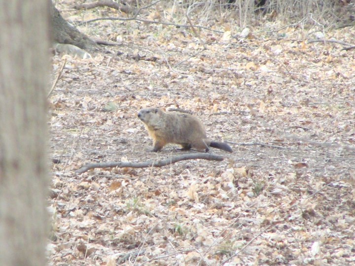 ???????????????????????????????