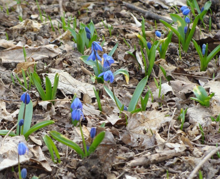 ???????????????????????????????