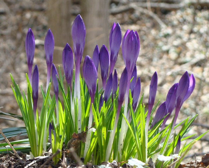 ???????????????????????????????