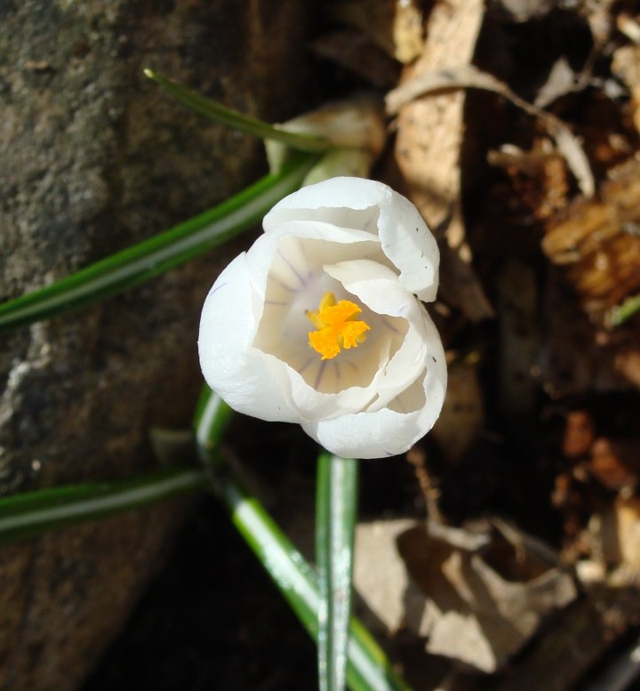 ???????????????????????????????