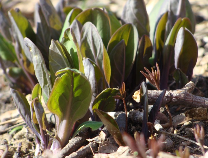 ???????????????????????????????