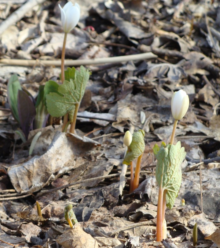 ???????????????????????????????