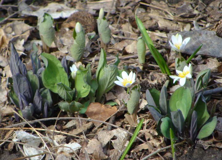 ???????????????????????????????