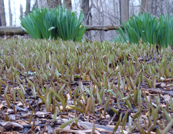 ???????????????????????????????