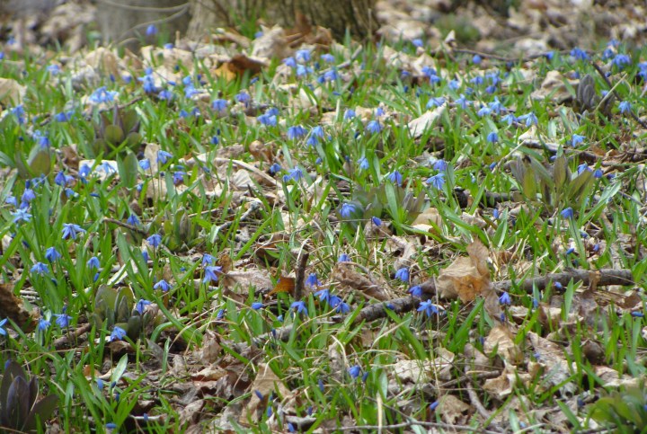 ???????????????????????????????