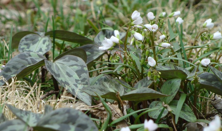 ???????????????????????????????