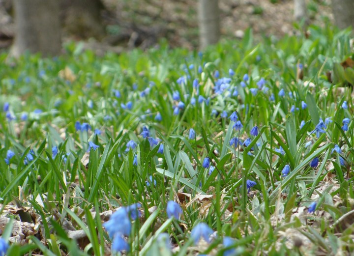 ???????????????????????????????