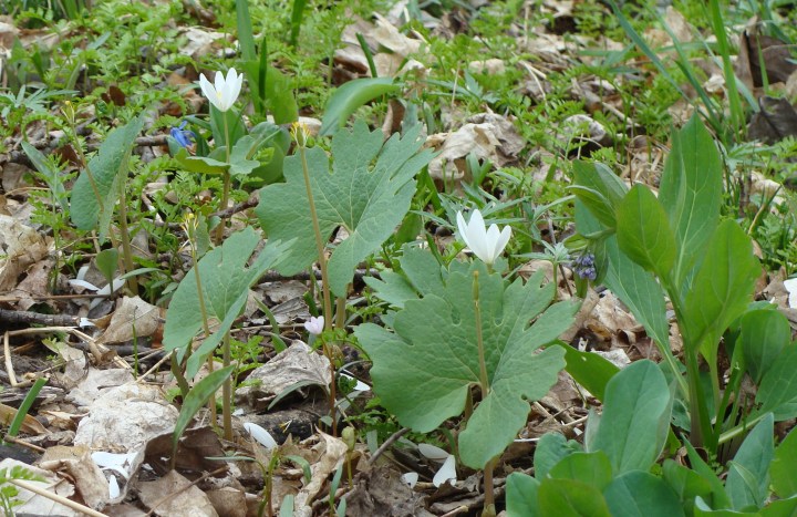 ???????????????????????????????