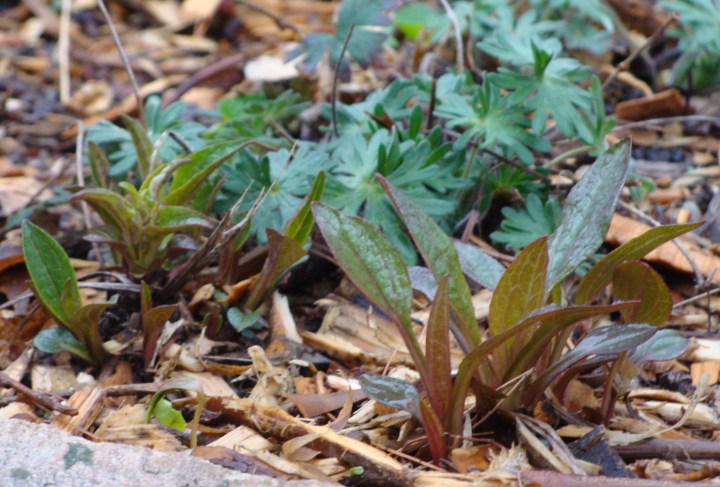 ???????????????????????????????