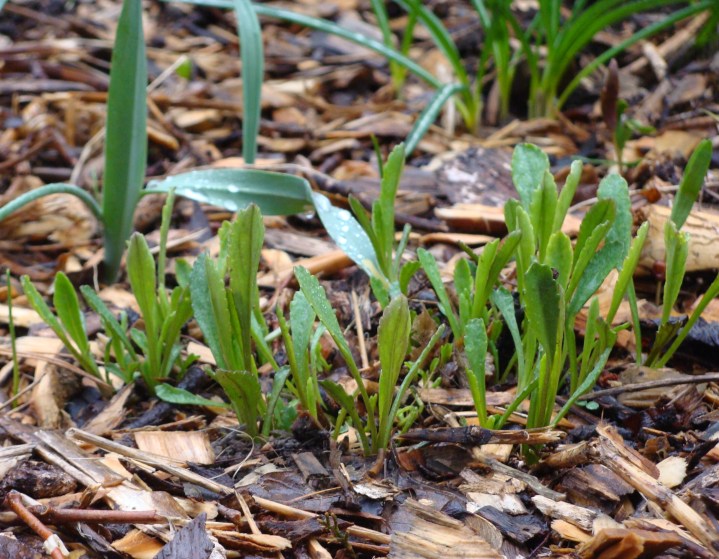 ???????????????????????????????