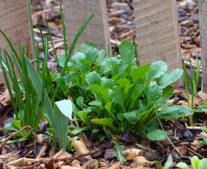 ???????????????????????????????