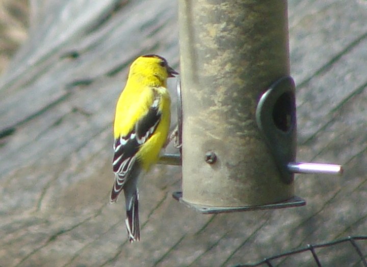 ???????????????????????????????