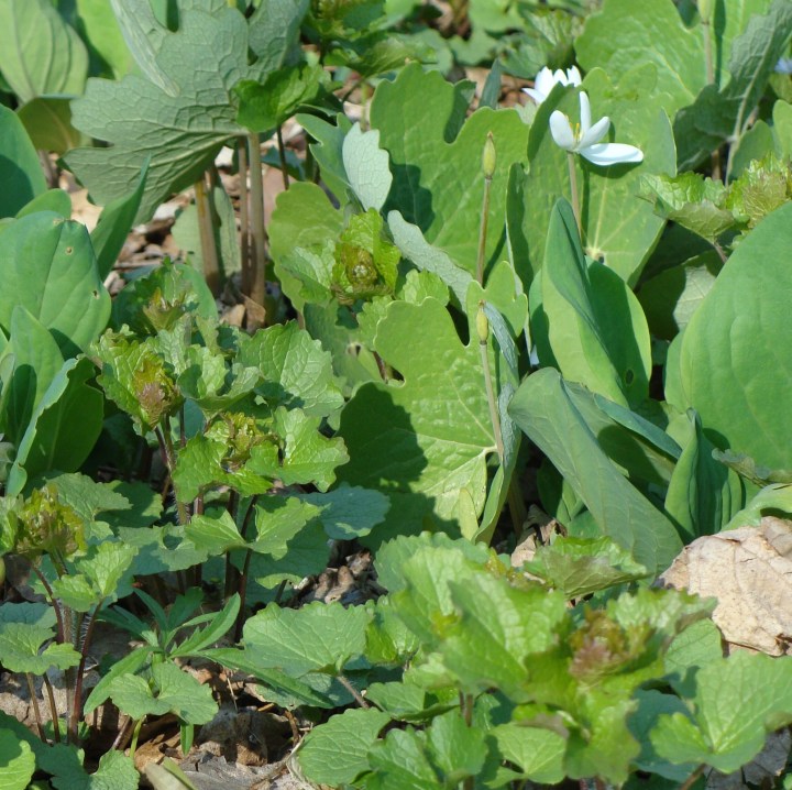 ???????????????????????????????