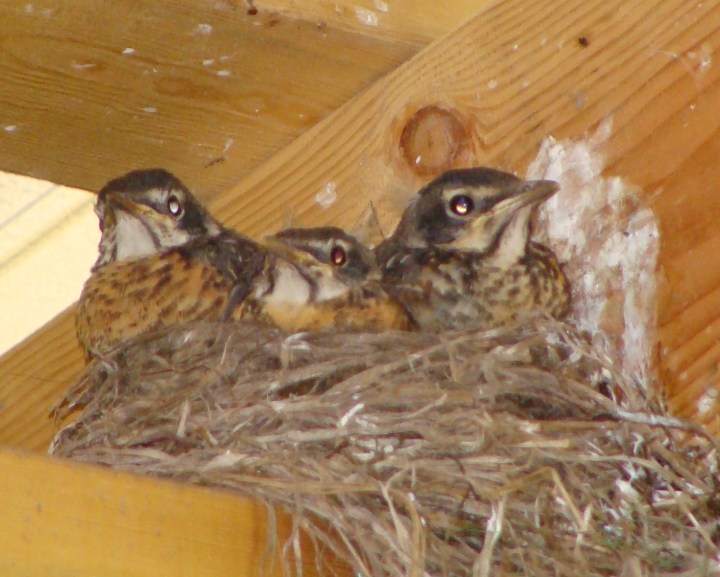 ???????????????????????????????