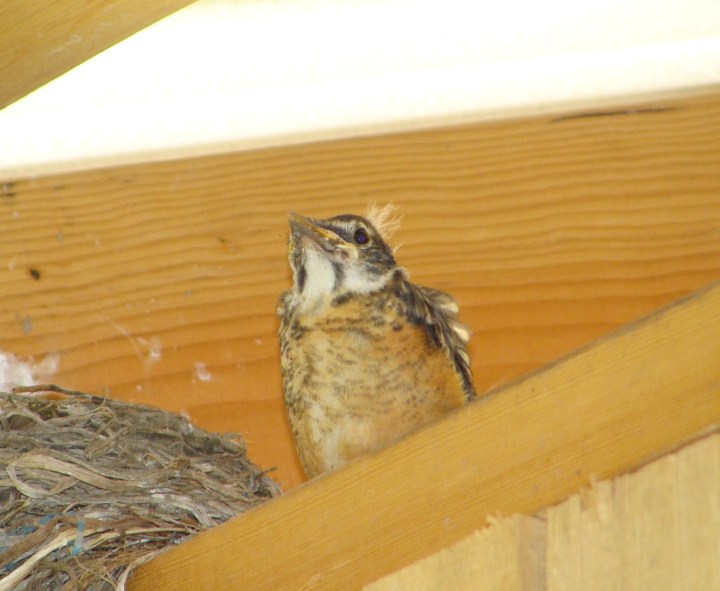 ???????????????????????????????