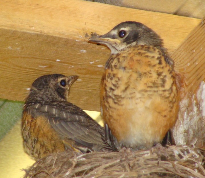 ???????????????????????????????