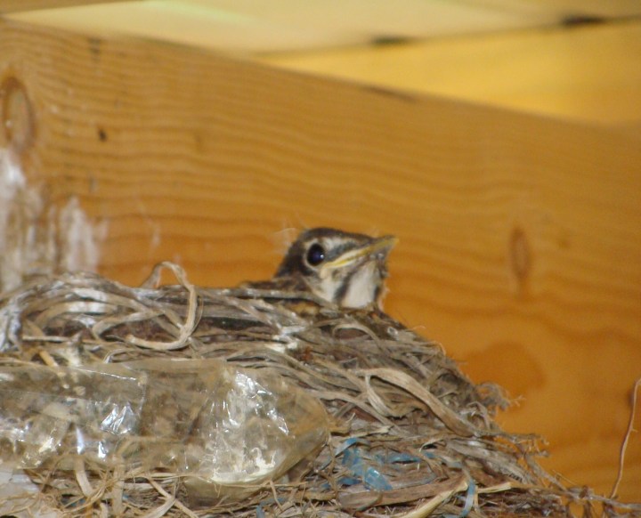 ???????????????????????????????