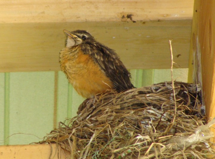 ???????????????????????????????