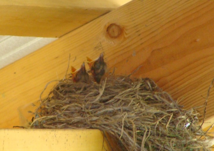 ???????????????????????????????