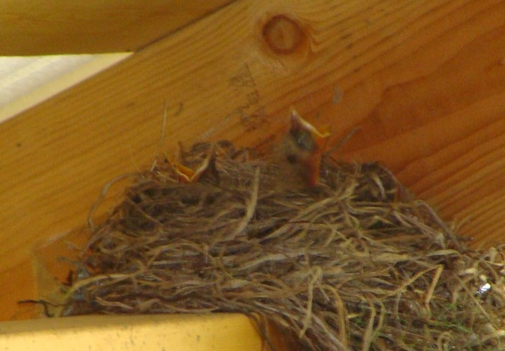 ???????????????????????????????