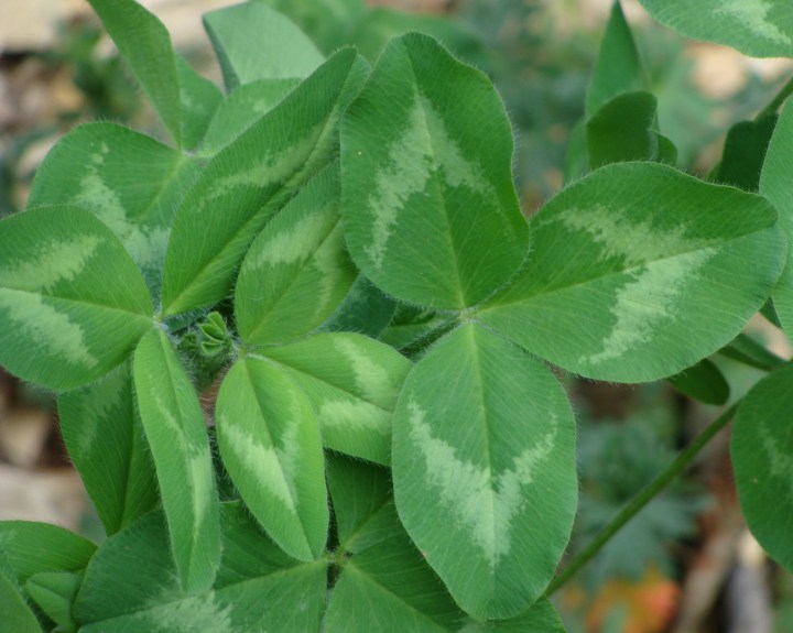 ???????????????????????????????