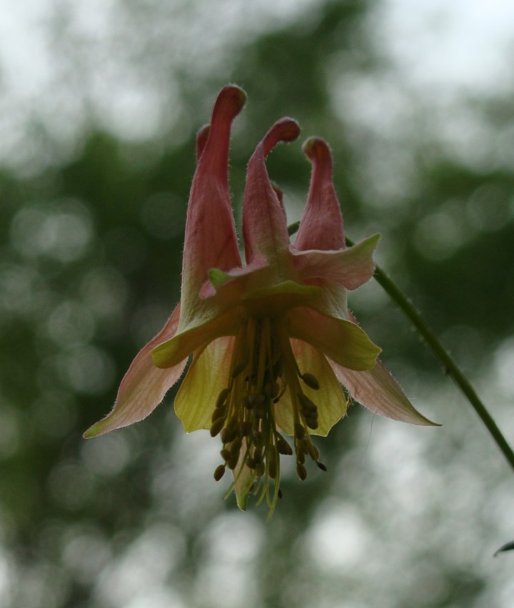 ???????????????????????????????