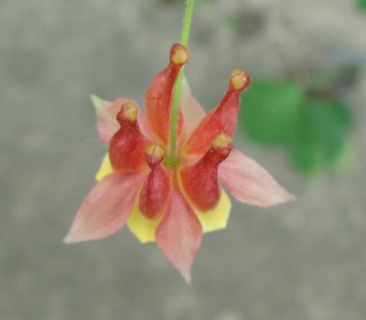 ???????????????????????????????