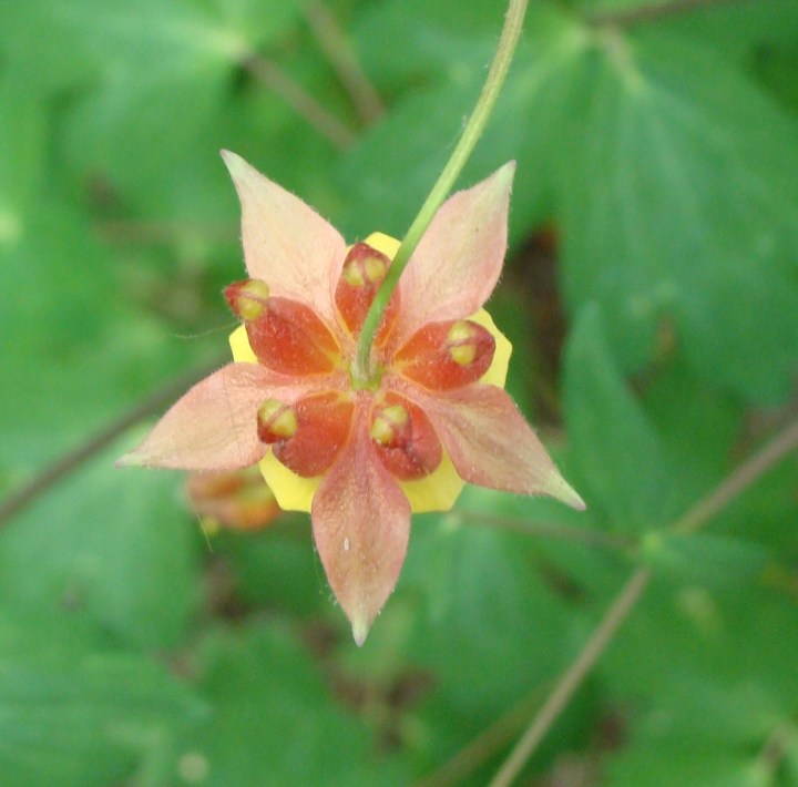 ???????????????????????????????